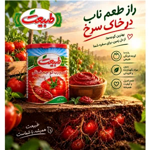کنسرورب گوجه فرنگی طبیعت 800گرم