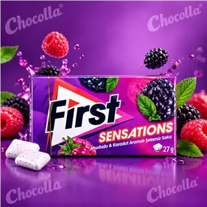 آدامس تمشک و توت فرنگی فرست First ترکیه 27 گرم