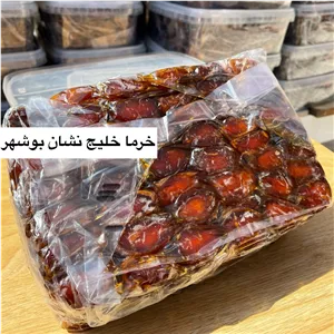 خرما کبکاب درجه یک دستچین بوشهر برداشت 405 (فروش عمده)