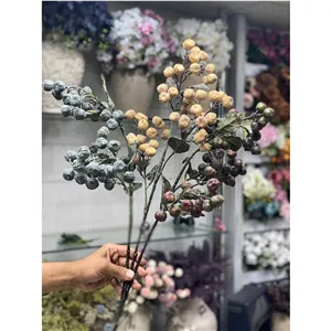 شاخه انجیر خشک 