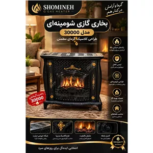 بخاری گازی شومینه ای 30000
