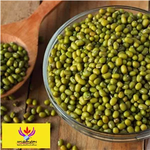 ماش سبز ایرانی خوشپخت یک کیلو مشرق زمین