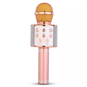 میکروفون اسپیکر مدل WS-858