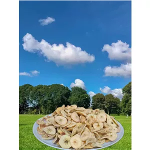 برگه سیب خانگی 