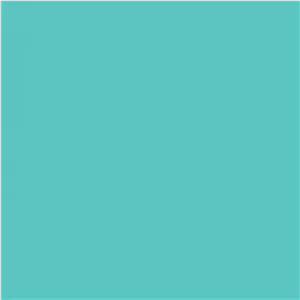 فون کاغذی Savage Widetone Seamless #47 Baby Blue