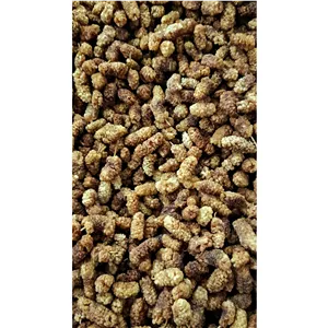 توت خشک درجه2
