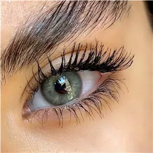 لنز سلنا دیم گری سبز طوسی دور محو