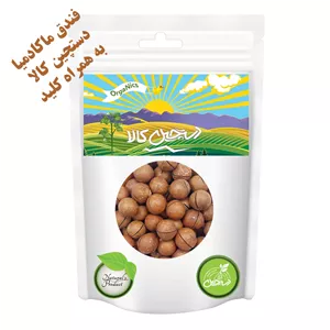 فندق استرالیایی ماکادمیا دستچین کالا - 400 گرم به همراه 1 عدد کلید