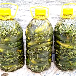خیارشور ارگانیک درجه یک 