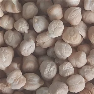 نخود دیم محلی ارگانیک کشاورزی خوشه طلا(پس کرایه)
