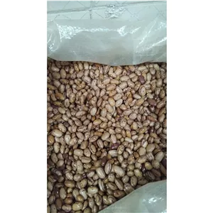 لوبیا چیتی برزیلی