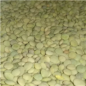 عدس محلی 