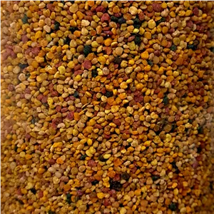 گرده گل کوهستان وخشخاش