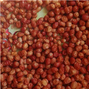 پودر سنجد اعلا