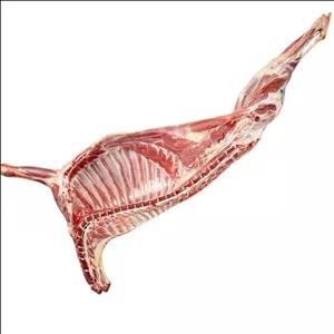  یک. شقه  بره نر بادنبه 