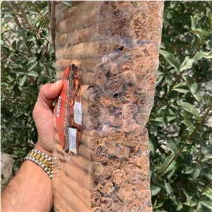 دارچین سیلان هندی اصل 100 گرمی آقای زعفران