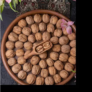  گردو پوست کاغذی 1000 گرم 1404