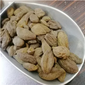 هلیله سیاه اعلا (100 گرمی) (پس کرایه)