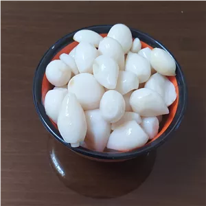 ترشی موسیر کوهی وحشی،نایاب، 800 گرمی