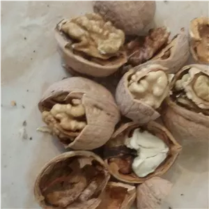 گردو با پوست امساله تازه و خوش طعم و چرب تبریز محصولات آذروند(500گرمی)