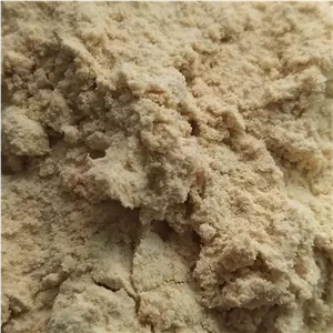 پودر خردل اعلا 500 گرم 