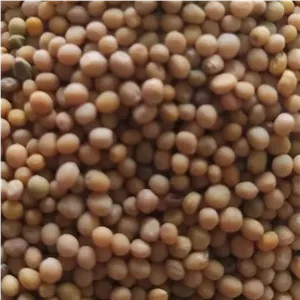 دانه خردل اعلا 150 گرم 