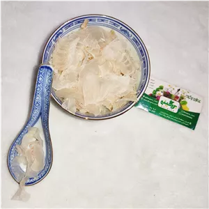کتیرا صدفی 10گرمی
