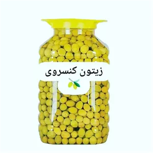 زیتون کنسروی (6 کیلوگرم خالص) 