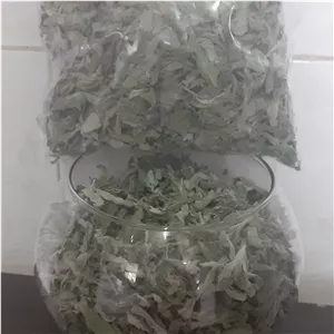پونه ی کوهی تازه ی امسال تمیز و برگ شده