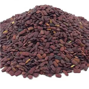 عدس الملک ( عدس تلخ کوهی ) 200 گرمی