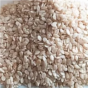 کنجد سفید کاملا تمیز درجه یک  500 گرمی ارسال با پست سریع به سراسر ایران