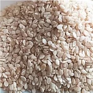 کنجد سفید کاملا تمیز و با کیفیت 250 گرمی ارسال به سراسر ایران با پست سریع