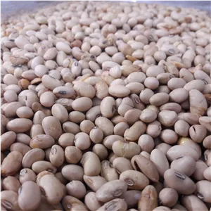 سویا آجیلی تردتازه(یک کیلو)