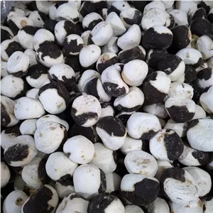 کشک قره قروتی تنقلاتی (نیم کیلو) دارای سیب سلامت قارا قره قوروت