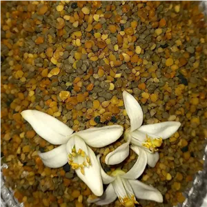 گرده گل