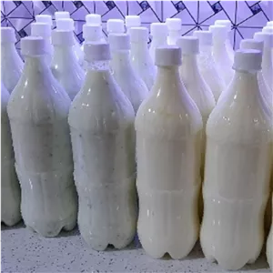 باکس 6کیلویی دوغ شترکویر سمنان همراه با نعنا 