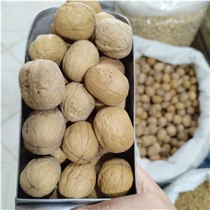 گردو پوست کاغذی لوکس (نیم کیلو) خارجی پوست کاغذی . باپوست شسته تمیز