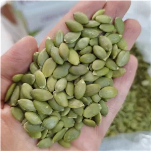 مغز تخمه کدو تازه و درجه یک (نیم کیلو) سبز و تمیز