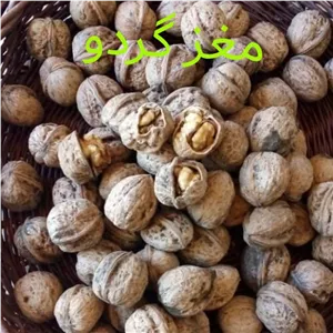 گردو کوهستانی اورامان تخت