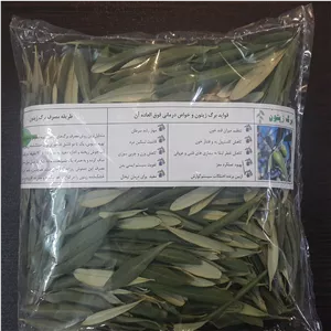 برگ درخت زیتون ارگانیک اعلا درجه یک دستچین (100 گرمی) عمده و جزئی