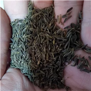 زیره سیاه اعلا(80 گرمی)