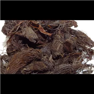 سنبل الطیب