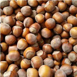 فندق خام