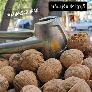گردو سفید پوست نازک خوانسار (1کیلویی)
