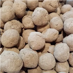 نان بلوط یا کلگ، بسته 100 گرمی، ارسال به تهران نداریم 