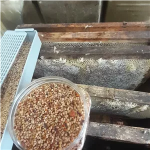 گرده گل پای زنبور عسل 1000 گرم اعلا مفید به پروستات و معجون و ورزشکاری 