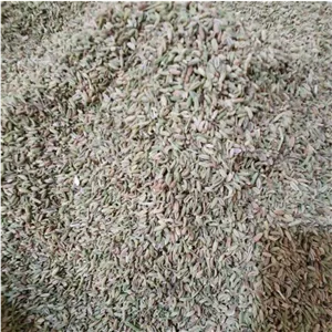 رازیانه 500 گرم