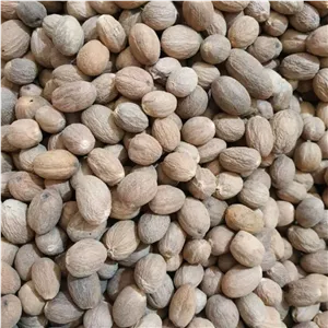 جوز هندی 250 گرم