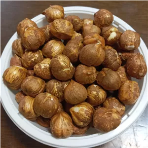 مغز فندق تروتازه درجه یک 500گرمی(1405)