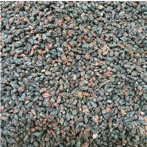 زرشک کوهی 1 کیلو